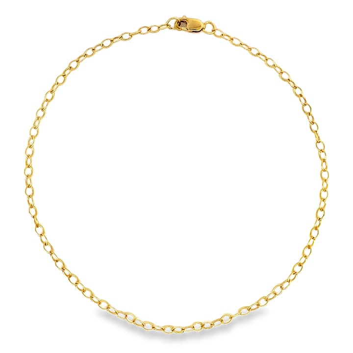 Circle Link Anklet