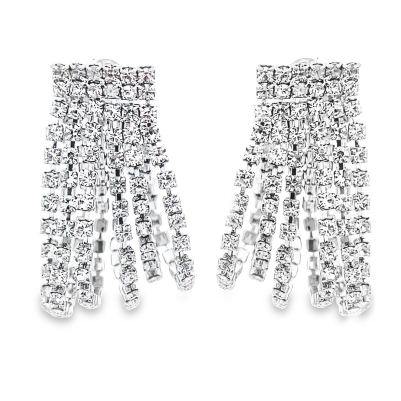 Embellished Earrings in Silver