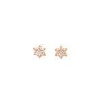 14K Gold Tiny Flower Studs