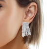Embellished Earrings in Silver