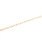 Circle Link Anklet